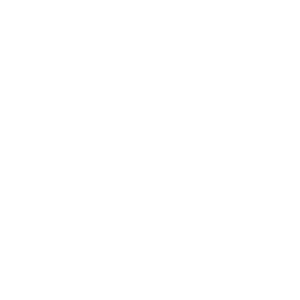 Busan International Film Festival award for Lesbian Space Princess.